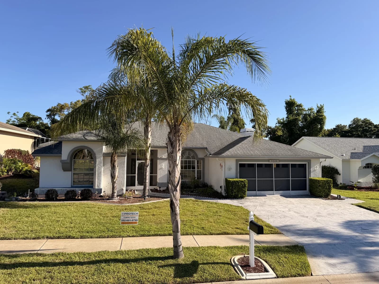 Architectural shingle roof completed by Protech Roofing on a Central Florida home framed by mature palm trees
