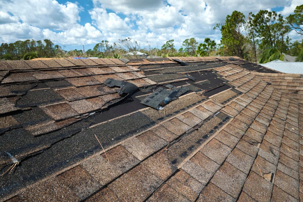 Shingle roofing — Damaged House Roof With Missing Shingles After Hur 2024 12 06 13 38 49 Utc by Protech Roofing