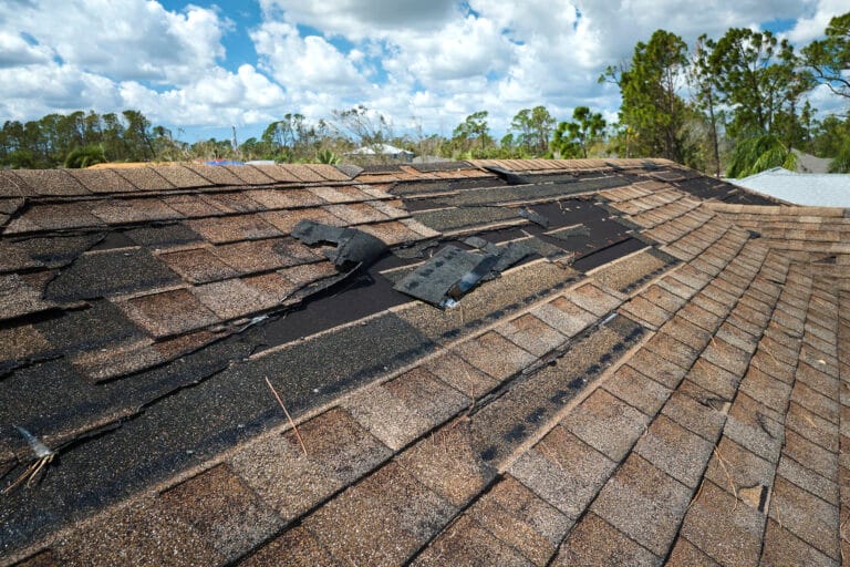 Shingle roofing — Damaged House Roof With Missing Shingles After Hur 2024 12 06 13 38 49 Utc by Protech Roofing