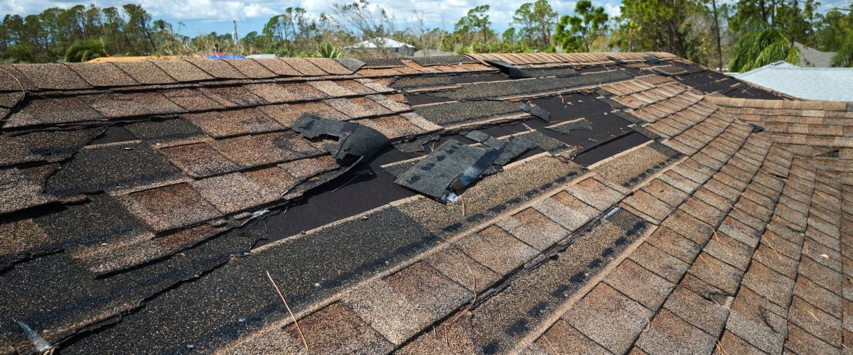 Shingle roofing — Damaged House Roof With Missing Shingles After Hur 2024 12 06 13 38 49 Utc by Protech Roofing